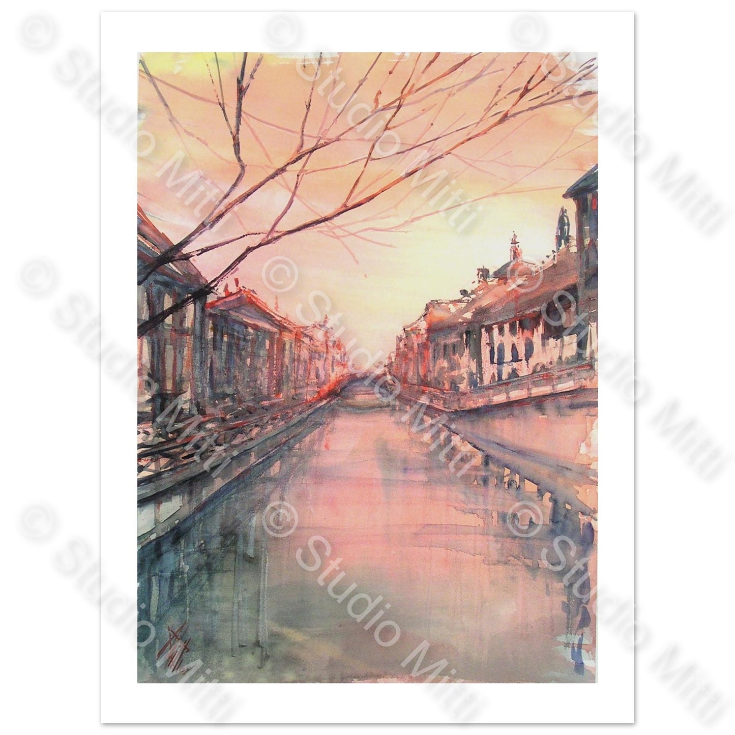 NAVIGLIO IN ROSA